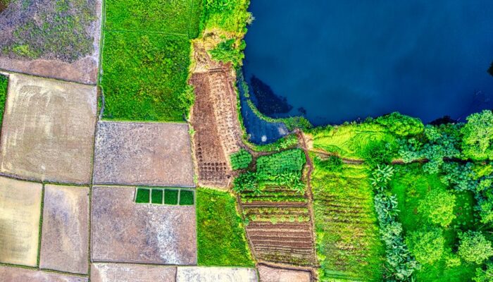 Stunning aerial view of vibrant farmland and lake in Banten, Indonesia, showcasing nature's beauty from above. - Photo by Tom Fisk on Pexels