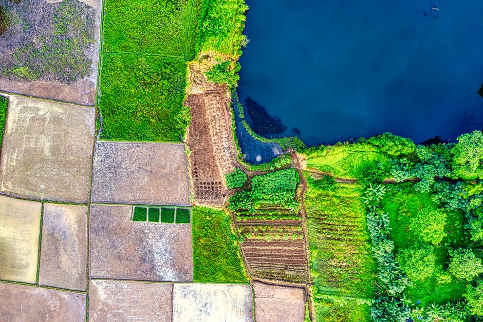 Stunning aerial view of vibrant farmland and lake in Banten, Indonesia, showcasing nature's beauty from above. - Photo by Tom Fisk on Pexels